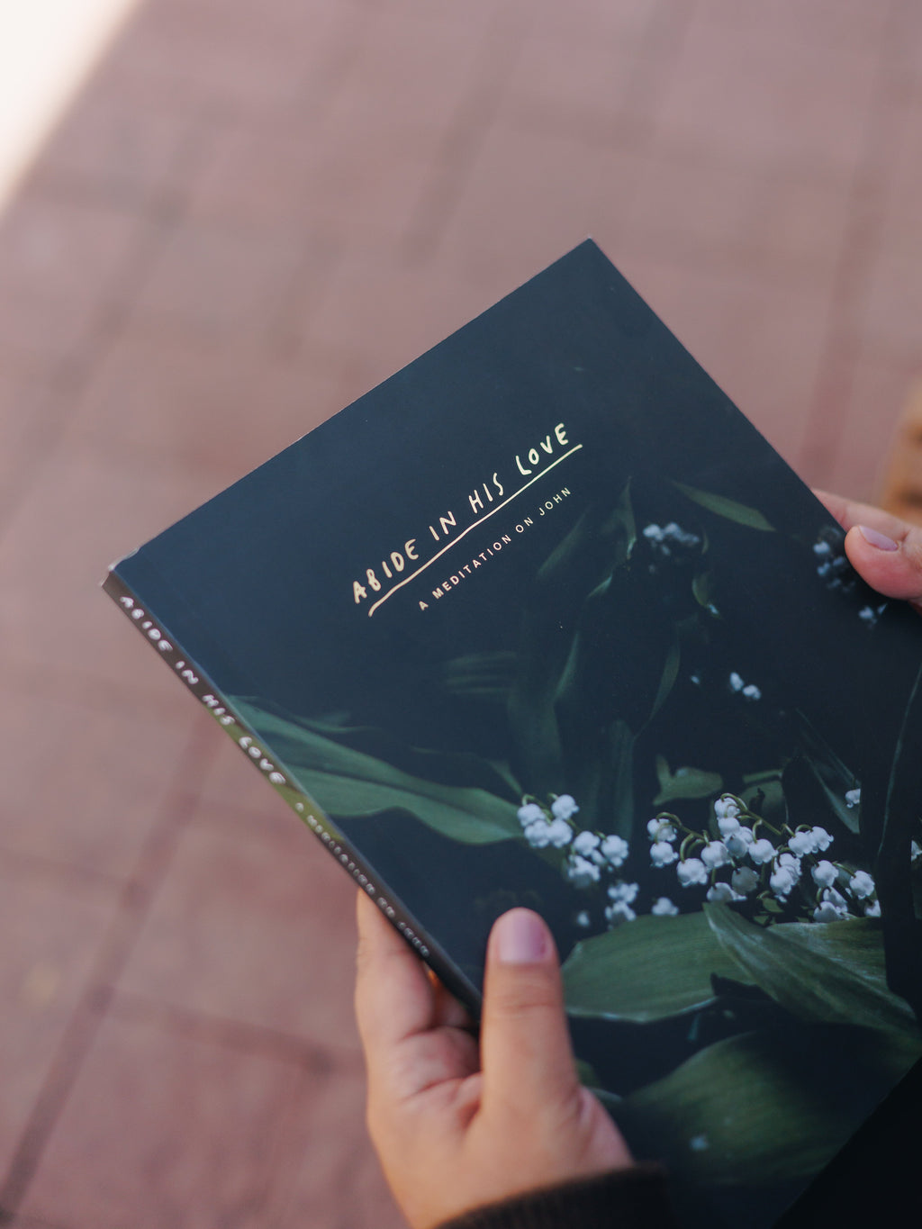 Catholic Bible Study: The Gospel of John // Abide in His Love