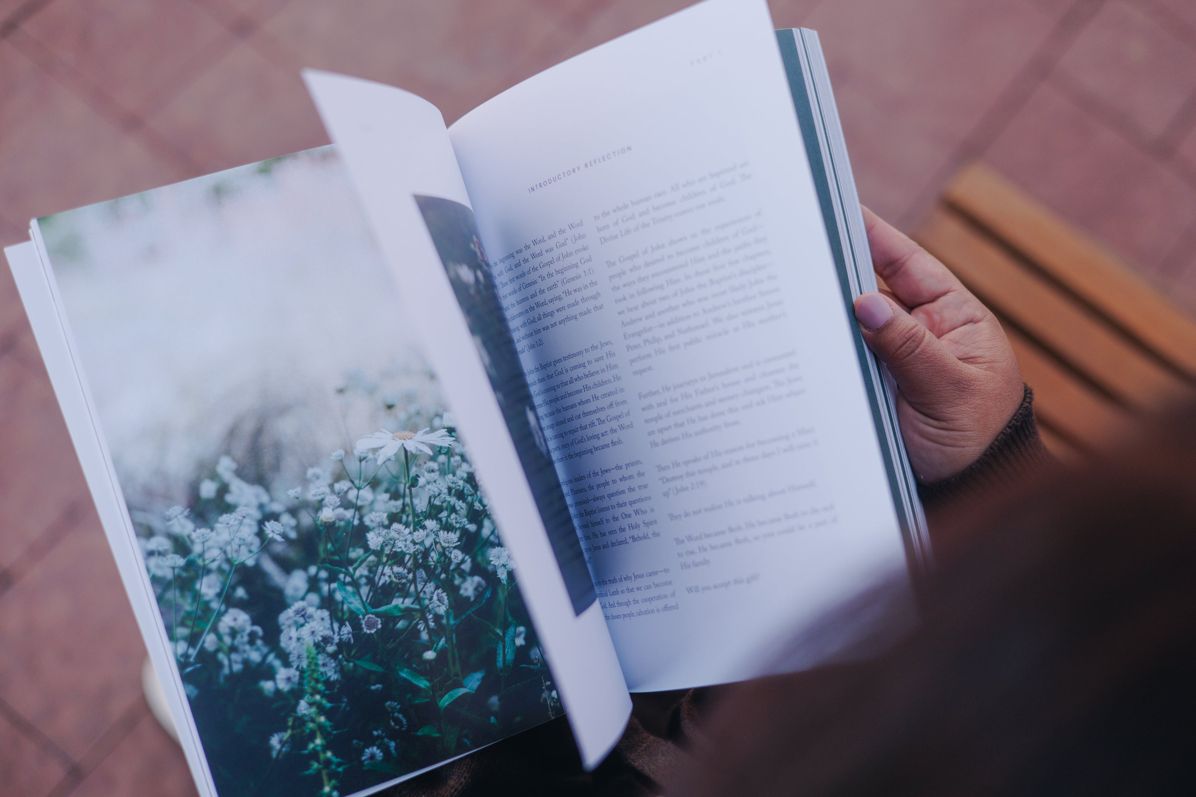 Catholic Bible Study: The Gospel of John // Abide in His Love