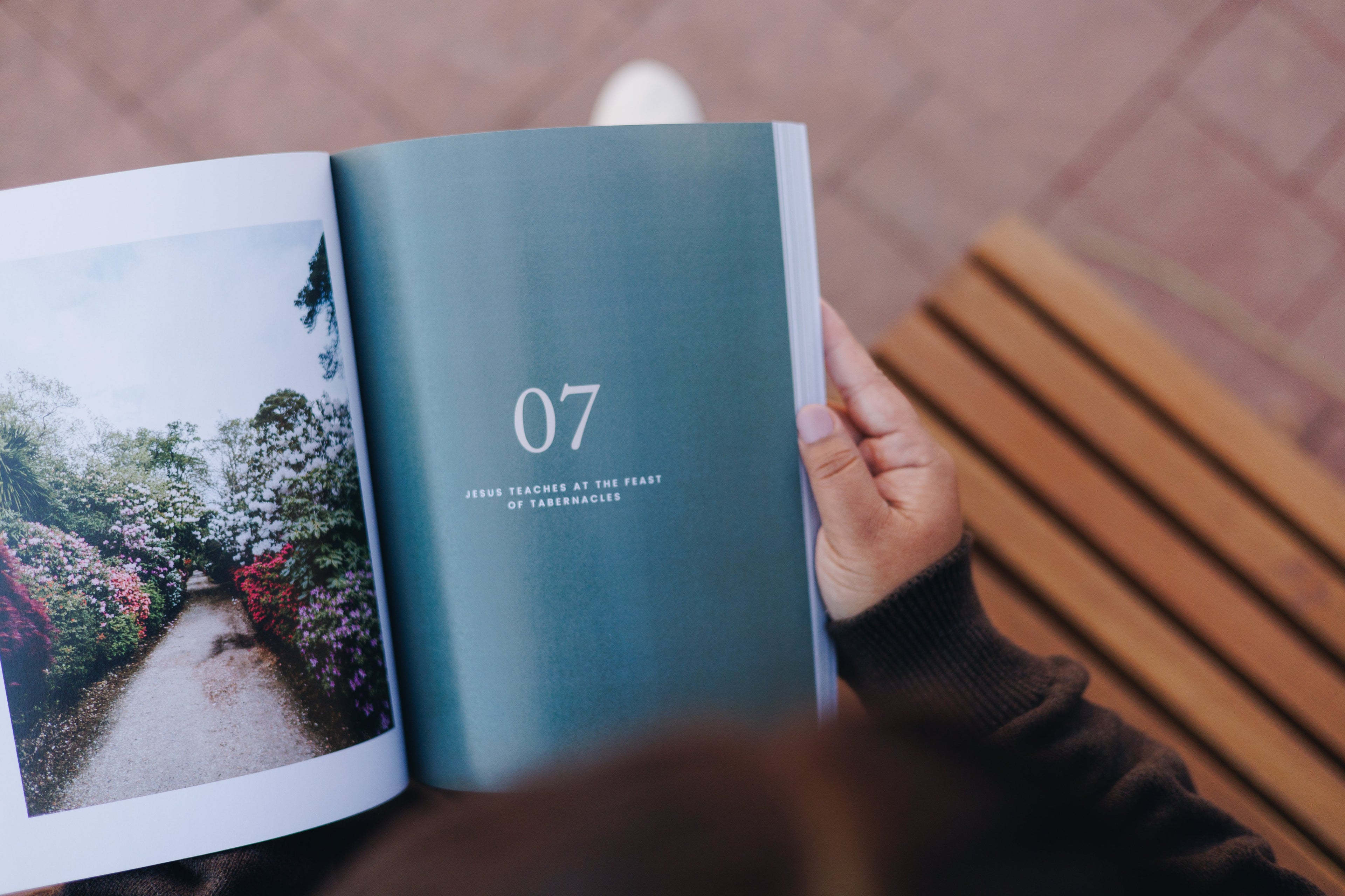 Catholic Bible Study: The Gospel of John // Abide in His Love