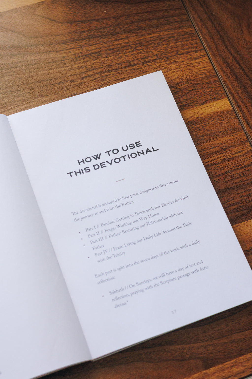 Feast: A Catholic Men's Devotional on the Prodigal Son