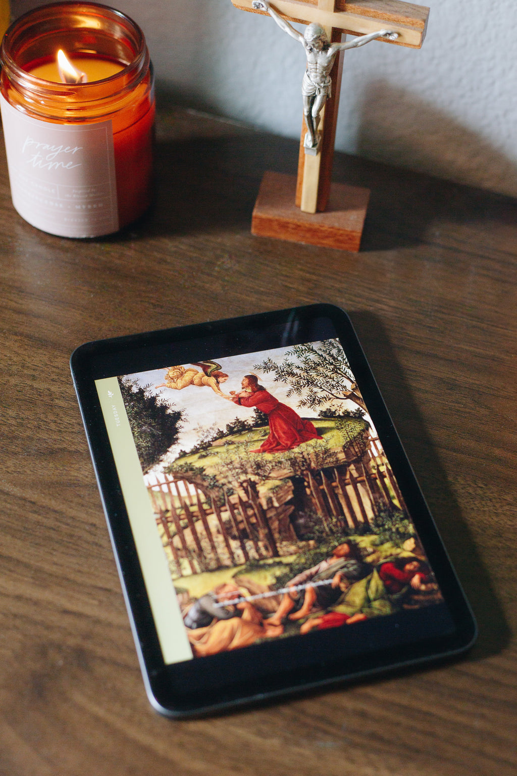 Under the Olive Tree Devotional For Women *Digital Download*