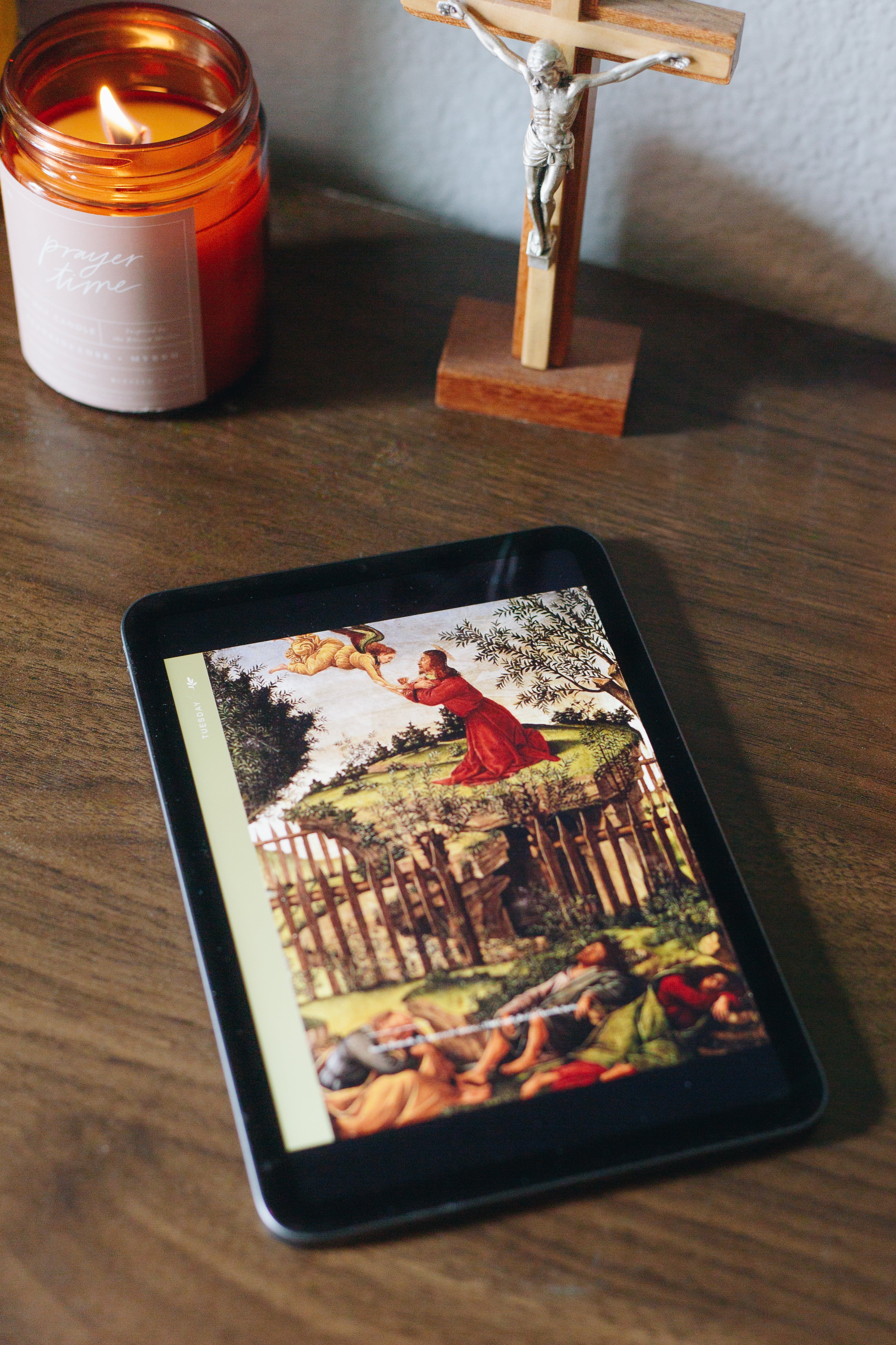 Under the Olive Tree Devotional For Women *Digital Download*